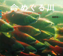 命めぐる川　カナダのベニザケ