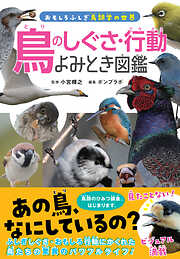 鳥のしぐさ・行動よみとき図鑑