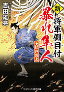 新・将軍側目付 暴れ隼人 大江戸炎上