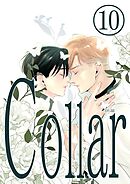 Collar (10) セーフティ