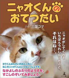 ニャオくんのおてつだい