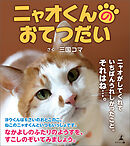 ニャオくんのおてつだい