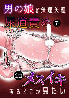 男の娘が無理矢理尿道責めで全力メスイキするとこが見たい