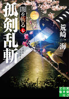 孤剣乱斬　闇を斬る　七