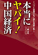本当にヤバイ！中国経済―バブル崩壊の先に潜む双頭の蛇―