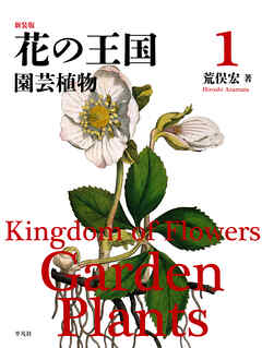 新装版 花の王国 1
