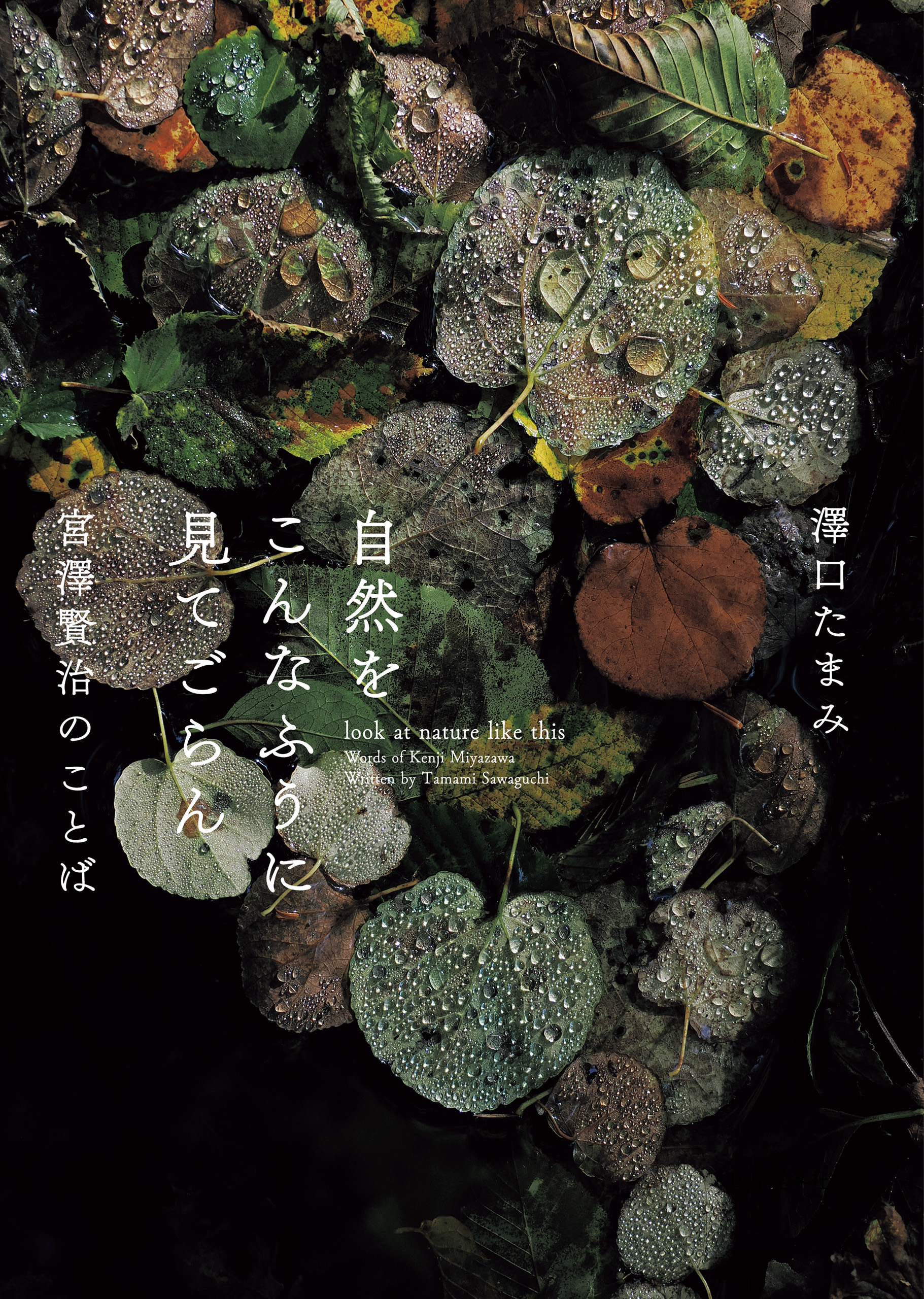 自然をこんなふうに見てごらん 宮澤賢治のことば - 澤口たまみ - 小説・無料試し読みなら、電子書籍・コミックストア ブックライブ