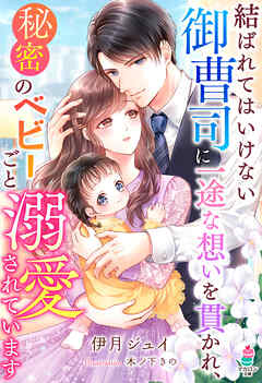結ばれてはいけない御曹司に一途な想いを貫かれ、秘密のベビーごと溺愛されています