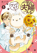 後の夫婦である　ワン！モア５