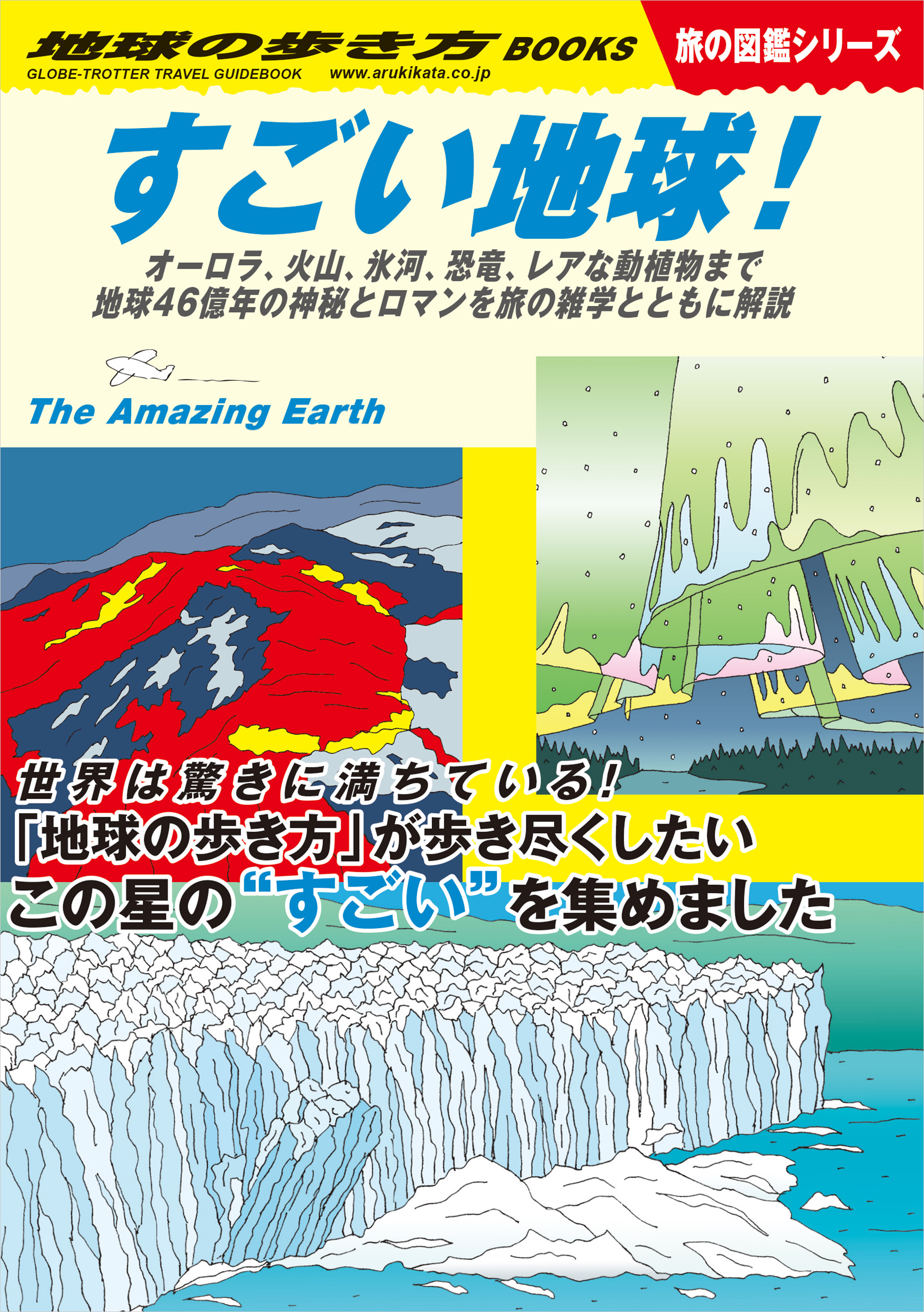 小笠原ガイドブック 生地球小笠原 【数々のアワードを受賞】 - 地図