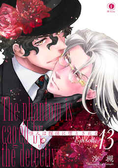 怪人は探偵に堕とされる　（13）