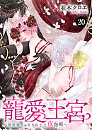 寵愛王宮～異世界、ふたりの王と夜伽姫～　20