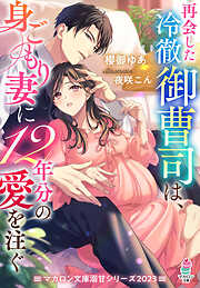 再会した冷徹御曹司は、身ごもり妻に12年分の愛を注ぐ【マカロン文庫溺甘シリーズ2023】