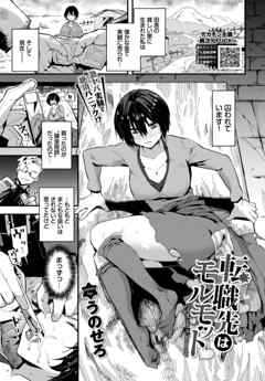 転職先はモルモット