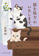 猫を処方いたします。6