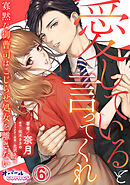 愛していると言ってくれ　寡黙な御曹司はこじらせ処女を離さない６