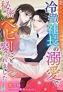 元カレ御曹司に最愛息子ごと溺愛されました～二度目の恋はひそやかに