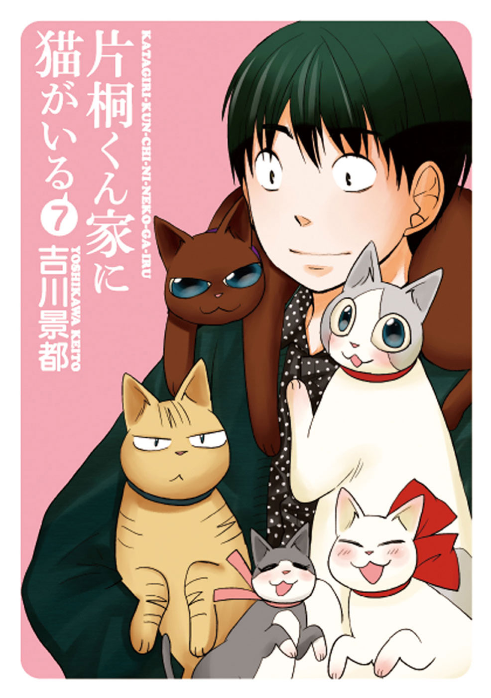 片桐くん家に猫がいる 7巻 完 最新刊 漫画 無料試し読みなら 電子書籍ストア ブックライブ