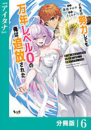 どれだけ努力しても万年レベル０の俺は追放された～神の敵と呼ばれた少年は、社畜女神と出会って最強の力を手に入れる～【分冊版】（ノヴァコミックス）６