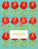 石垣 宮古 竹富島 西表島 guide 24H