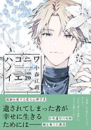 ハコニワノイエ　分冊版（２０）