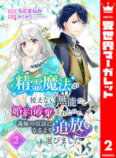 精霊魔法が使えない無能だと婚約破棄されたので、義妹の奴隷になるより追放を選びました