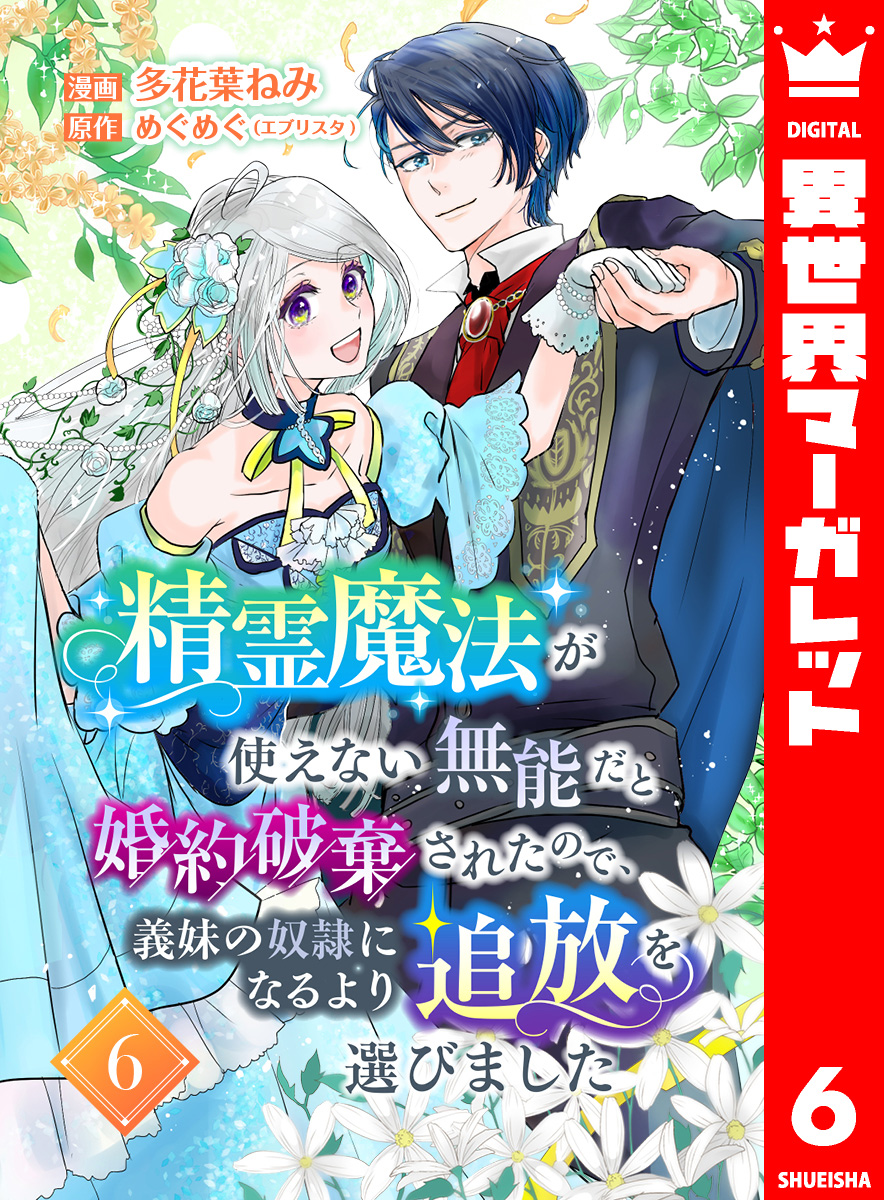 精霊魔法が使えない無能だと婚約破棄されたので、義妹の奴隷になるより追放を選びました 6 | ブックライブ