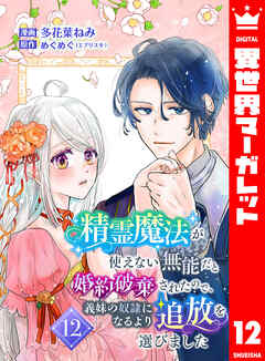 精霊魔法が使えない無能だと婚約破棄されたので、義妹の奴隷になるより追放を選びました