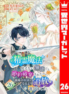 精霊魔法が使えない無能だと婚約破棄されたので、義妹の奴隷になるより追放を選びました 26