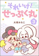 それいけ！ せっぷく丸　（3）