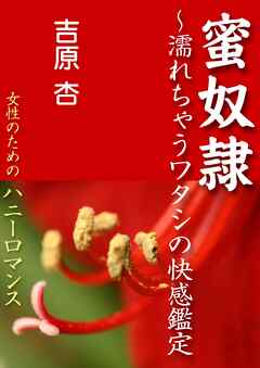 蜜奴隷 ～★濡れちゃうワタシの快感鑑定