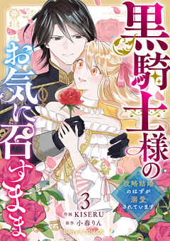 黒騎士様のお気に召すまま～政略結婚のはずが溺愛されています～