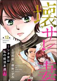 壊サレ妻 ～シタ女は私の妊活友達～（分冊版）　【第12話】