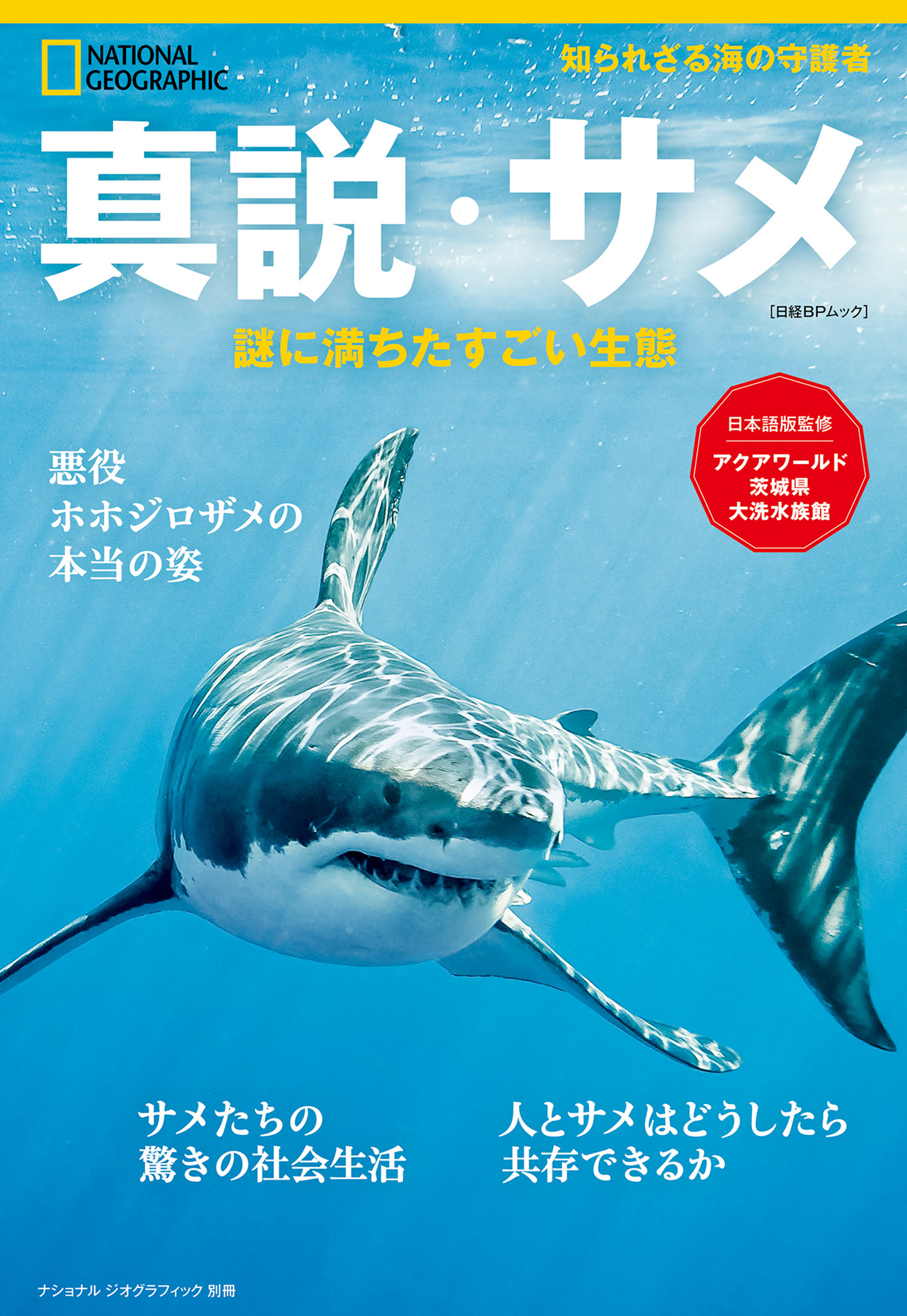 真説・サメ 謎に満ちたすごい生態 - ナショナルジオグラフィック