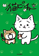 猫ピッチャー２０