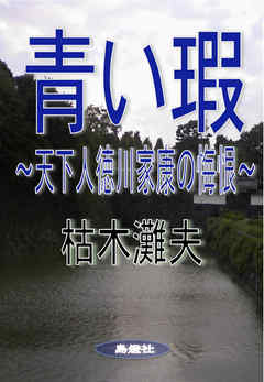 青い瑕～天下人徳川家康の悔恨～