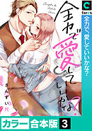 【カラー合本版】全力で、愛していいかな？(3)