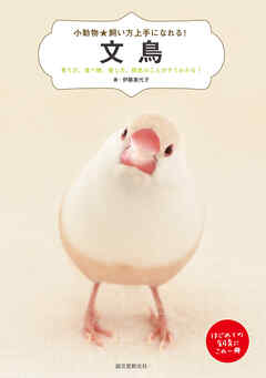 文鳥：育て方、食べ物、接し方、病気のことがすぐわかる！