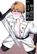 騎士団長シリーズ(1) 騎士団長の努め