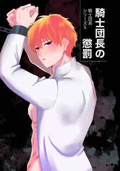 騎士団長シリーズ(5)騎士団長の懲罰