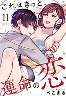 これはきっと、運命の恋【単話売】 11話
