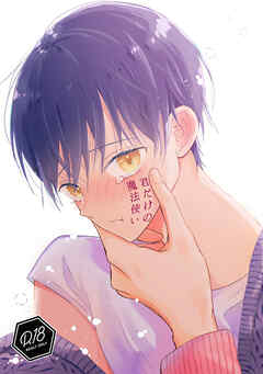 君だけの魔法使い