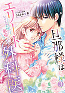 旦那様はエリート外科医～かりそめ夫婦なのに溺愛されてます～　3