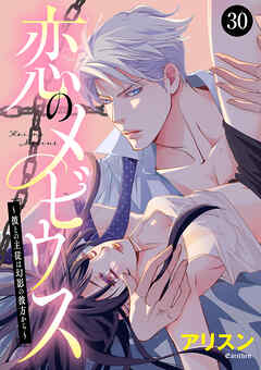 恋のメビウス～彼との主従は幻影の彼方から～　30