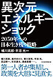 異次元エネルギーショック　2050年への日本生き残り戦略