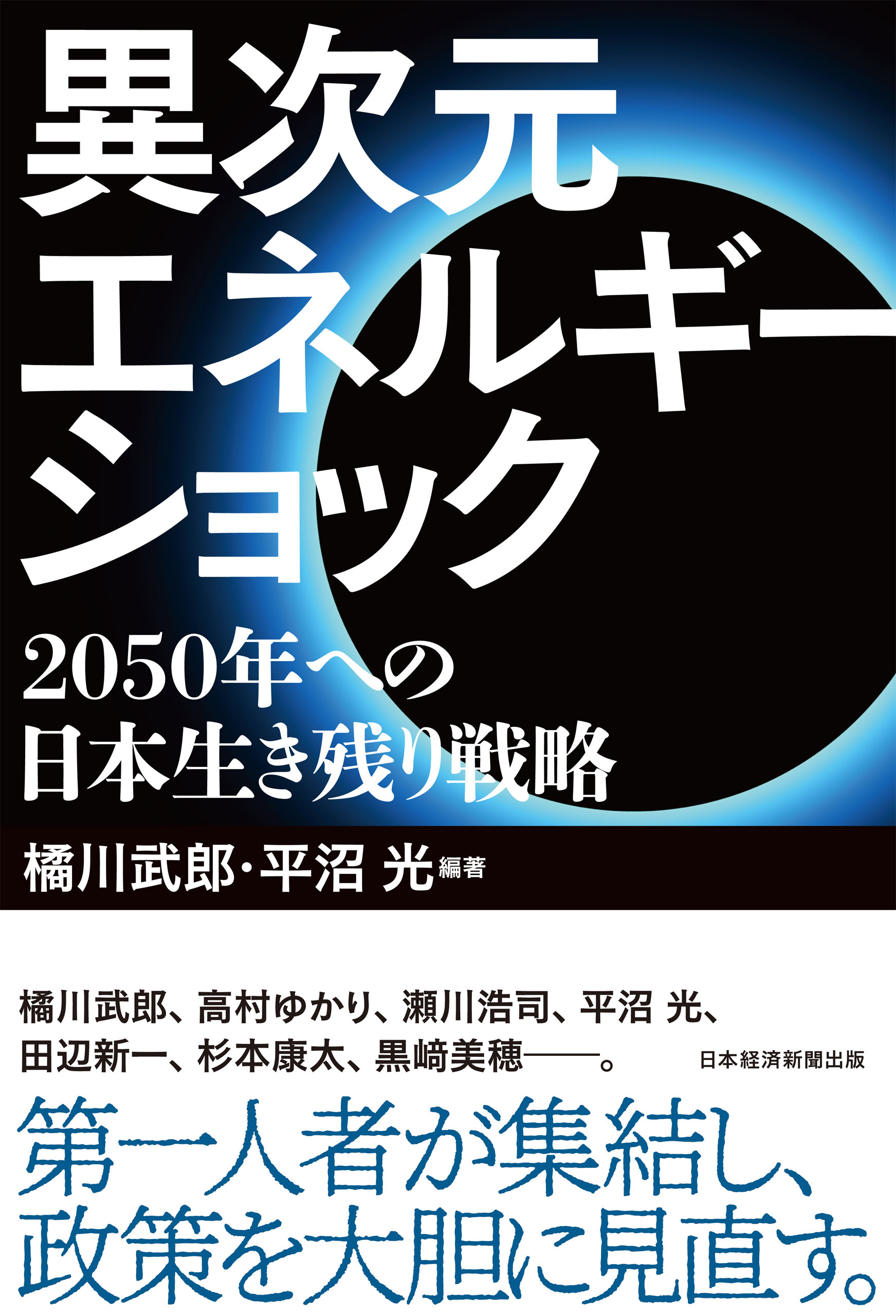 電力崩壊 戦略なき国家のエネルギー敗戦 ビジネス | www.vinoflix.com