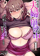 理想の夫婦、崩壊中～寝ている夫の横でDQN義弟に何度もイカされて～（フルカラー）　1巻