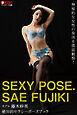 絶対的セクシーポーズブック　藤木紗英【ヌードポーズ集】