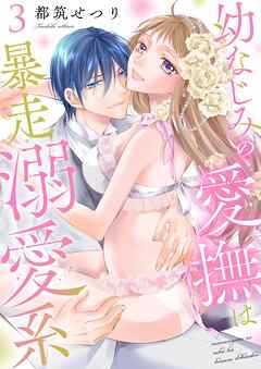 幼なじみの愛撫は暴走溺愛系【描き下ろしおまけ付き特装版】 3