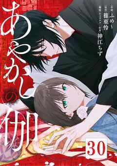 あやかしの伽～呪われた花嫁と黒き祓い屋～　30